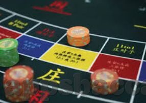 beat365在线登录官网入口-探索beat365在线登录官网入口，全面指南与体验分享